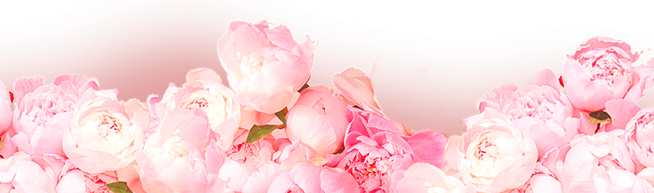 82237-pink-rose-flowers-heart-free-png-hq-1702479043.png
