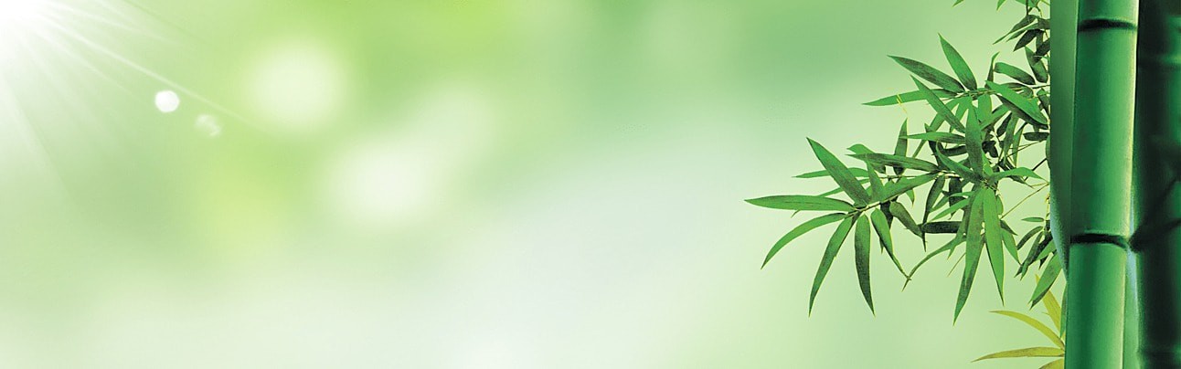 pngtree-plant-bamboo-green-fresh-banner-image-805632-1712976625.jpg